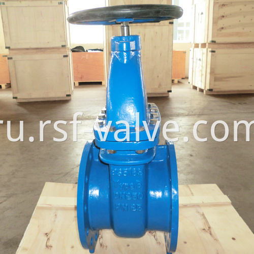 Bs5163 Type B Pn25 Dn250 Gate Valve